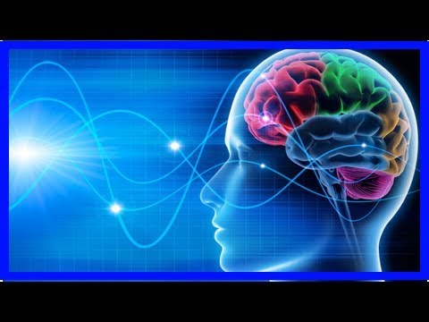 Gedanken lesbar: Neurologen entschlüsseln Gehirnströme und erkennen zukünfige Handlungen im Vorfeld