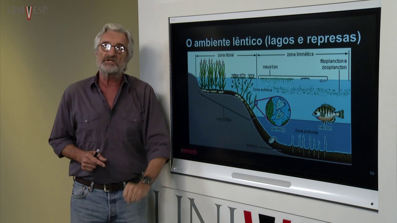 Ecologia - Aula 12 - Ecossistemas aquáticos
