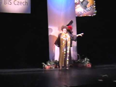 Travesti Show Skandál