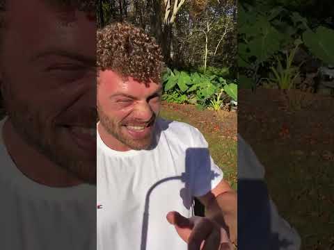 Wend Wellness Work Out Time