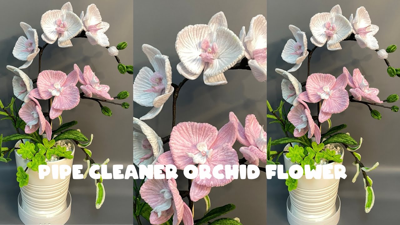 How to make pipe cleaner orchid flower | tutorial membuat bunga anggrek kawat bulu