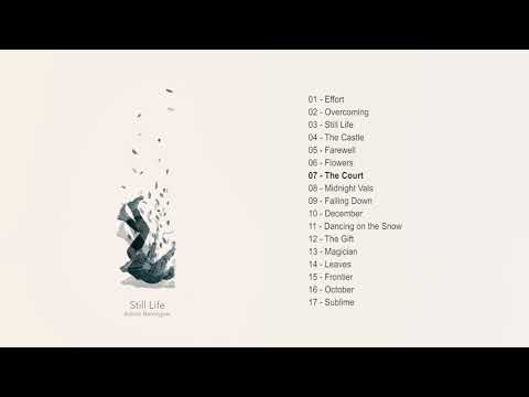 The Court | Still Life