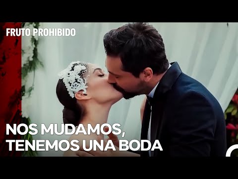 El Gran Amor Terminó en Un Hermoso Matrimonio - Fruto Prohibido