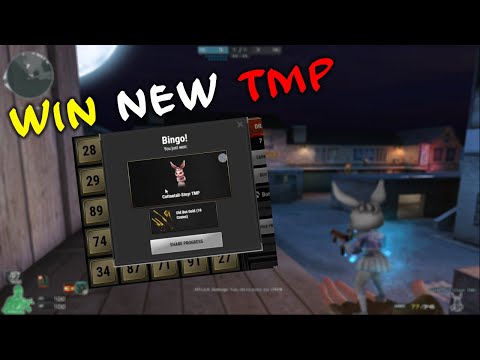 Spent 150 k Zp on bingo | crossfire West