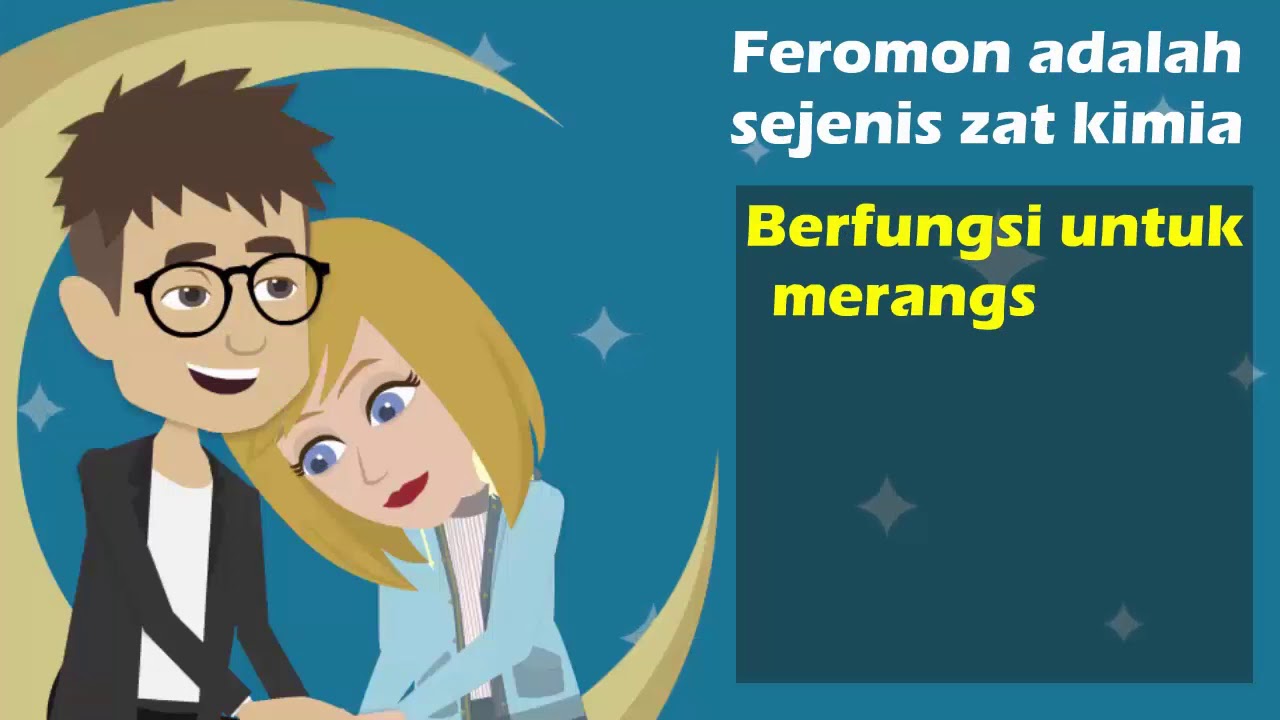 Apa itu Feromon 