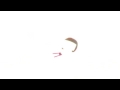 Soup2Nuts 2010 PBS Kids 2015 16 Logo