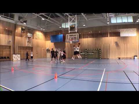 Viktor Stepanovski highlights against the top ranked high school basketball players from Sweden.