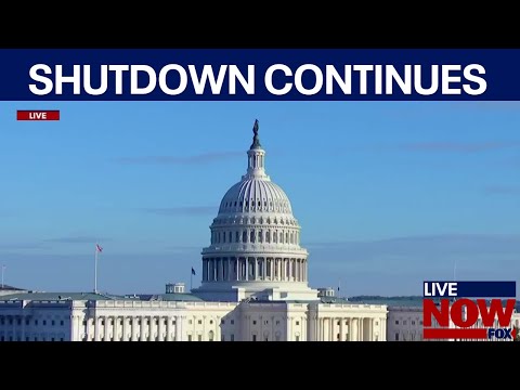 Video | Panel discussion: Government shutdown enters day 15