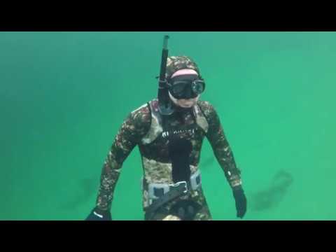 Kolvereid fridykking