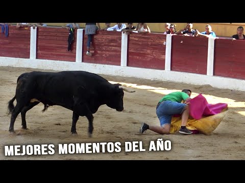 Toros Bravos Solo Mejores Momentos #3