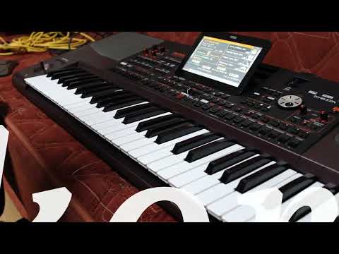 telgrafın tellerine kuşlar mı konar korg pa1000 cümbüş