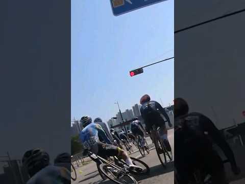 자전거 보복운전