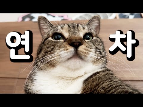 연차내고도 열일하는 노동묘