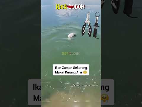 KAKI PANCING KUMPAU K0YAK 