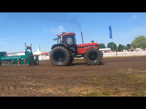 Trecker Treck Lalendorf 2023| Belarus, ZT, T 150K