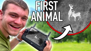I Found the First Animal with the Thermal Drone!