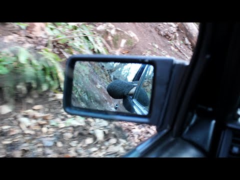 Ermin Hamidovic - Djevojka sokolu zulum ucinila [Uzivo]