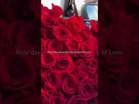 🌹✨#love #song #jawan #music #foryou #car #travel #trending #viralshorts #viralvideos