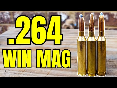 264 Win Mag - Ammo Testing [I Love This Cartridge]