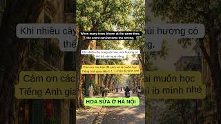 English Listening B1 - Hoa Sữa Hà Nội #luyennghetienganh #hoctienganh #tienganhgiaotiep #english