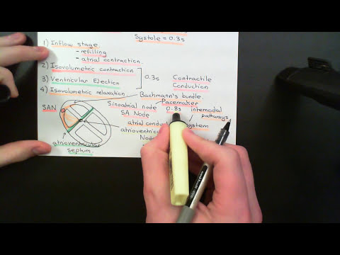 The Cardiac Cycle and Cardiac Electrophysiology Part 3