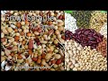 Grow Sprouts Easily At Home | Growing Sprouts For Kwati | Eat Delicious Everyday