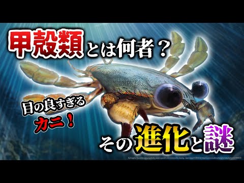 甲殻類 - 例と特徴