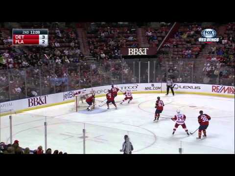27.01.2015 Detroit Red Wings vs. Florida Panthers