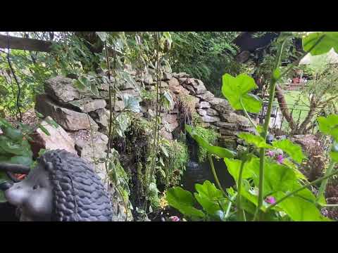 Pensiunea Domnescu, Sălişte - iazul