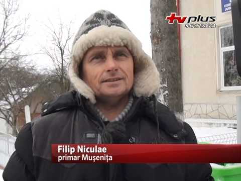 Viscolul face ravagii la Mușenița