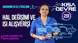 8. Sınıf Fen Maddenin Isı ile Etkileşimi - 2: Hal Değişimi | Lightboard ile Ders #20