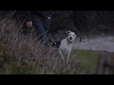 Wild About Wolves - Part 4: Human Dimensions