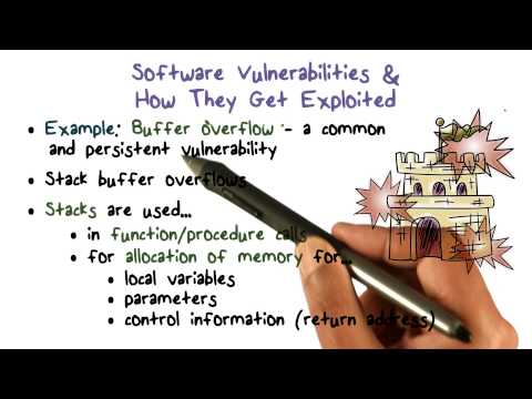 Software Vulnerabilities