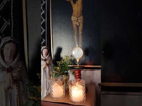 Adoración al Santísimo Sacramento del Altar con el Padre Fabian Esteban Oliva. 16/06/26