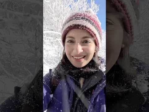 Snow-shoe hiking in the French Alps! #shorts