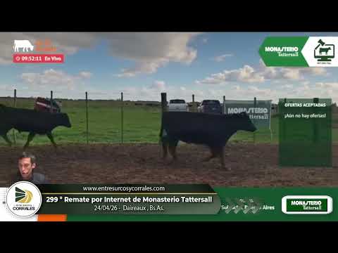 24-04-26 - 299º Remate por Internet de Monasterio Tattersall - Daireaux, Bs.As.