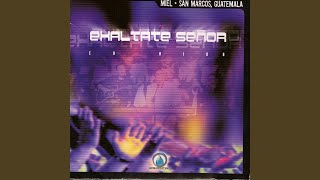 Mas Los Justos Se Alegraran