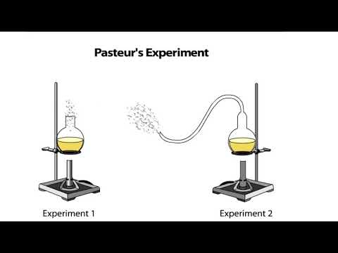 Pasteur's Experiment