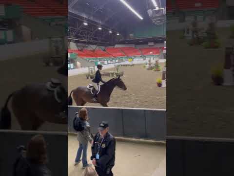 Nithard VW video 3