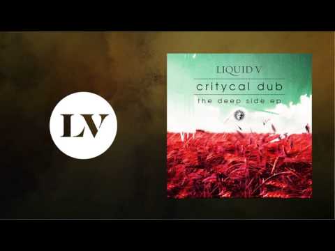 Critycal Dub - My Feeling