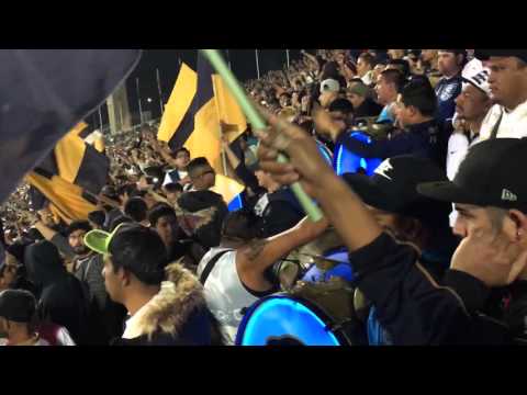 "La rebel yo paro en una barra, pumas vs tigres final clau (15)" Barra: La Rebel &bull; Club: Pumas