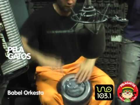 Babel Orkesta - Música en PelaGatos - Tema 4