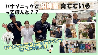 【パナソニック】ハートファームアソシエイツとコラボ！≪胡蝶蘭編≫
