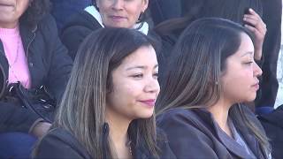 Coleadero en Mimbres, Valparaso 2019.