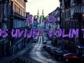 Erika - Još uvijek volim te (2013) 