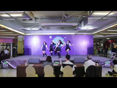 [ YokoAn B-day 2019 #13 Special Show ] ลอดช่อง Cover BLACKPINK