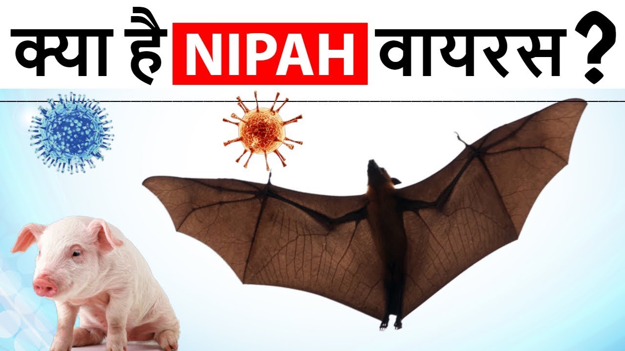 Nipah Virus in Kerala - केरल में निपा वायरस से 10 लोगों की मौत - Current Affairs 2018