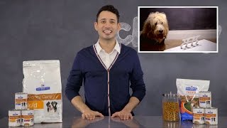 Hill's Prescription Diet k/d Kidney Care Dog Food | Chewy