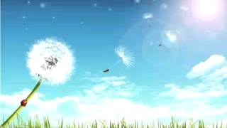 Mi hogar eres tu. Mago de oz