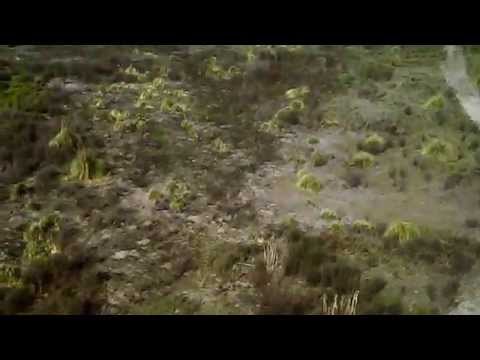 Santa Rita 26-10-15 - Syma x5